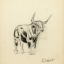 Gaston SUISSE (1896-1988) - Taureau.